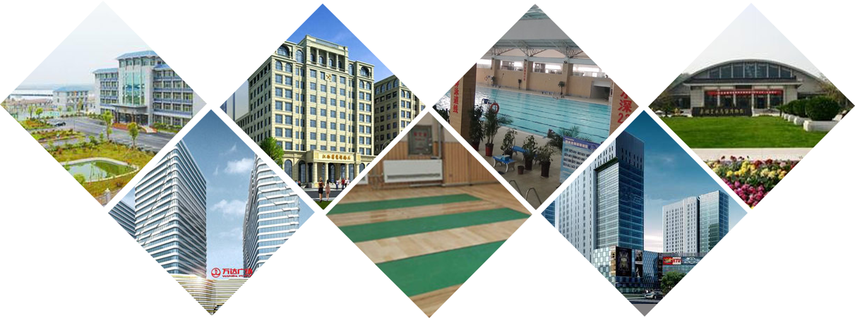 leyu科技成功案例